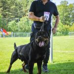 _DSC7157