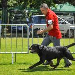 _DSC7677
