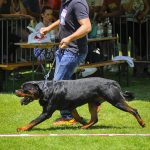 _DSC7865
