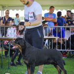 _DSC8244