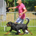_DSC8713
