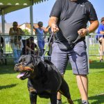_DSC8816